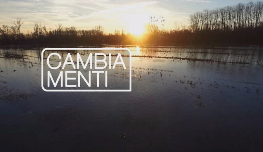 Memex - CambiaMenti