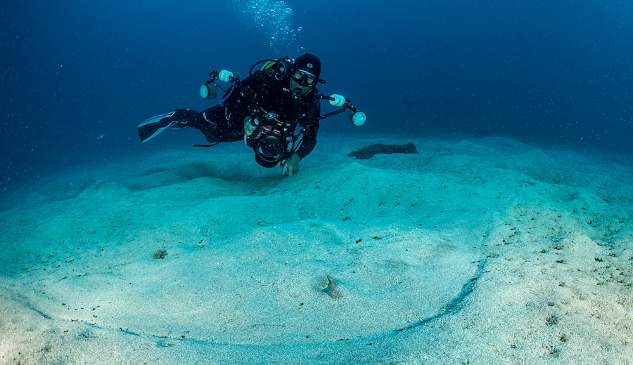 Pianeta Oceano, l'origine della vita