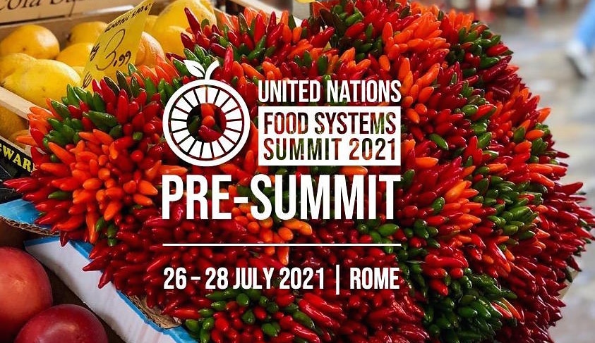 A Roma il Pre-Summit dell'Onu sui Sistemi Alimentari mondiali