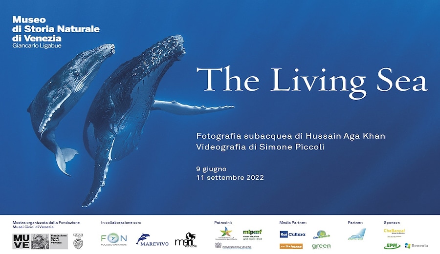"The Living Sea", una mostra per conoscere e rispettare il mare