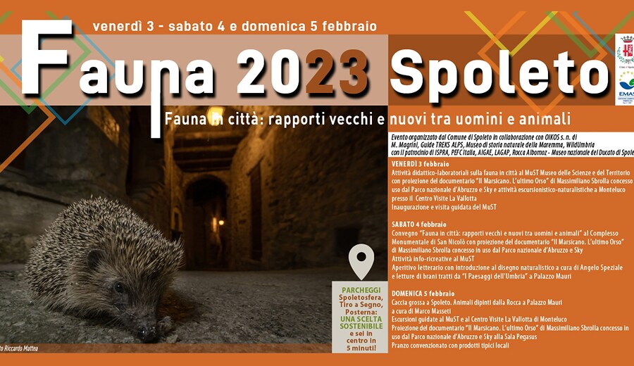 Fauna 2023