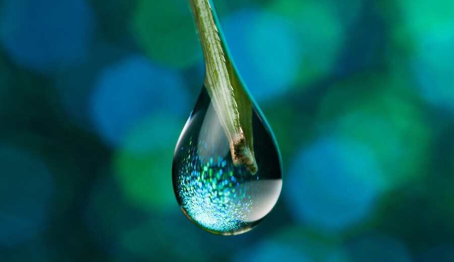 Giornata Mondiale dell'Acqua
