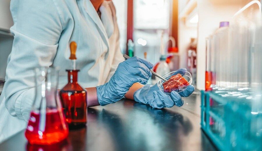 Novel Food: il cibo del futuro? Dagli insetti alla carne coltivata