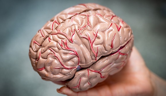 Giornata Mondiale dell'Alzheimer