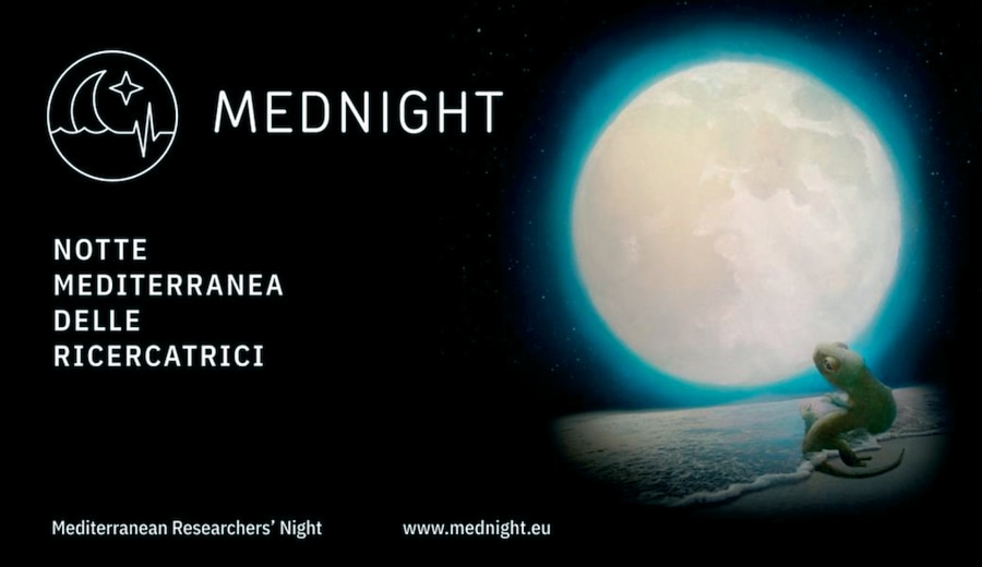 Il progetto Mednight