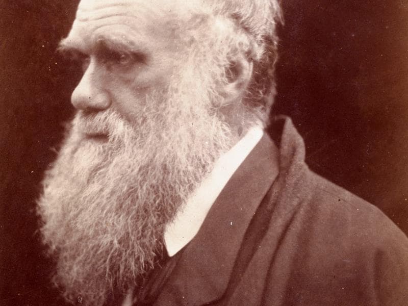 Charles Darwin