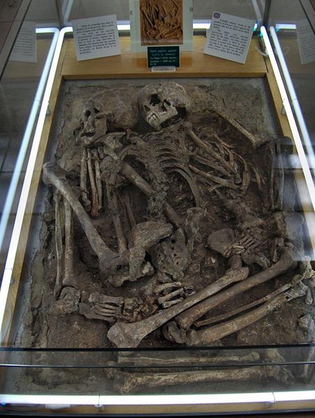 Fossili di Uomo di Neanderthal