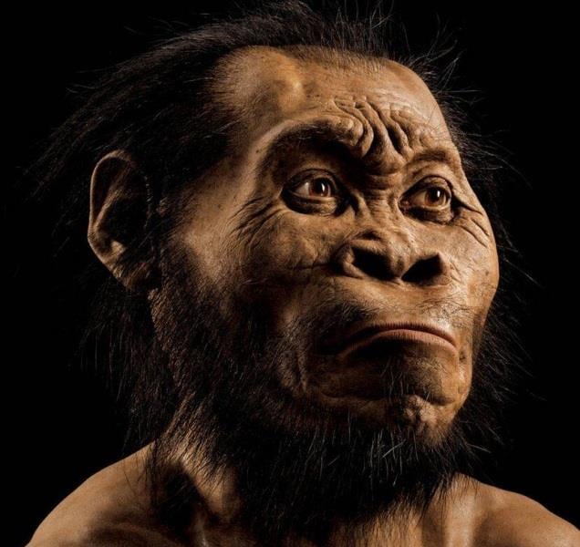 L'Uomo di Naledi, l'ultima scoperta