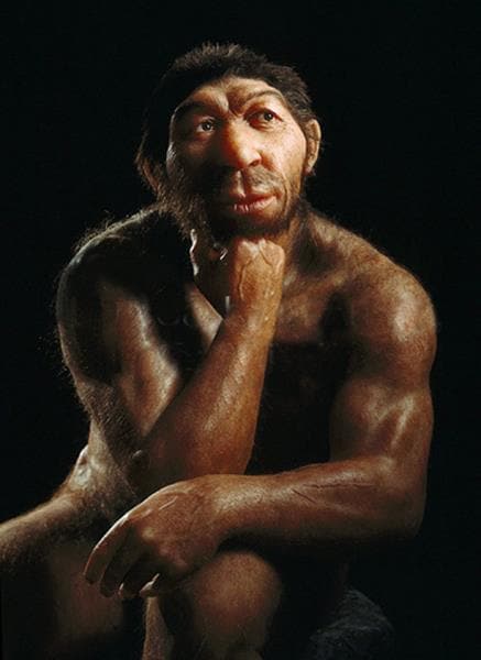 L'Uomo di Neanderthal in una ricostruzione