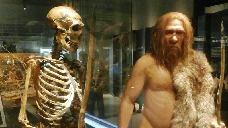 Uomo di Neanderthal