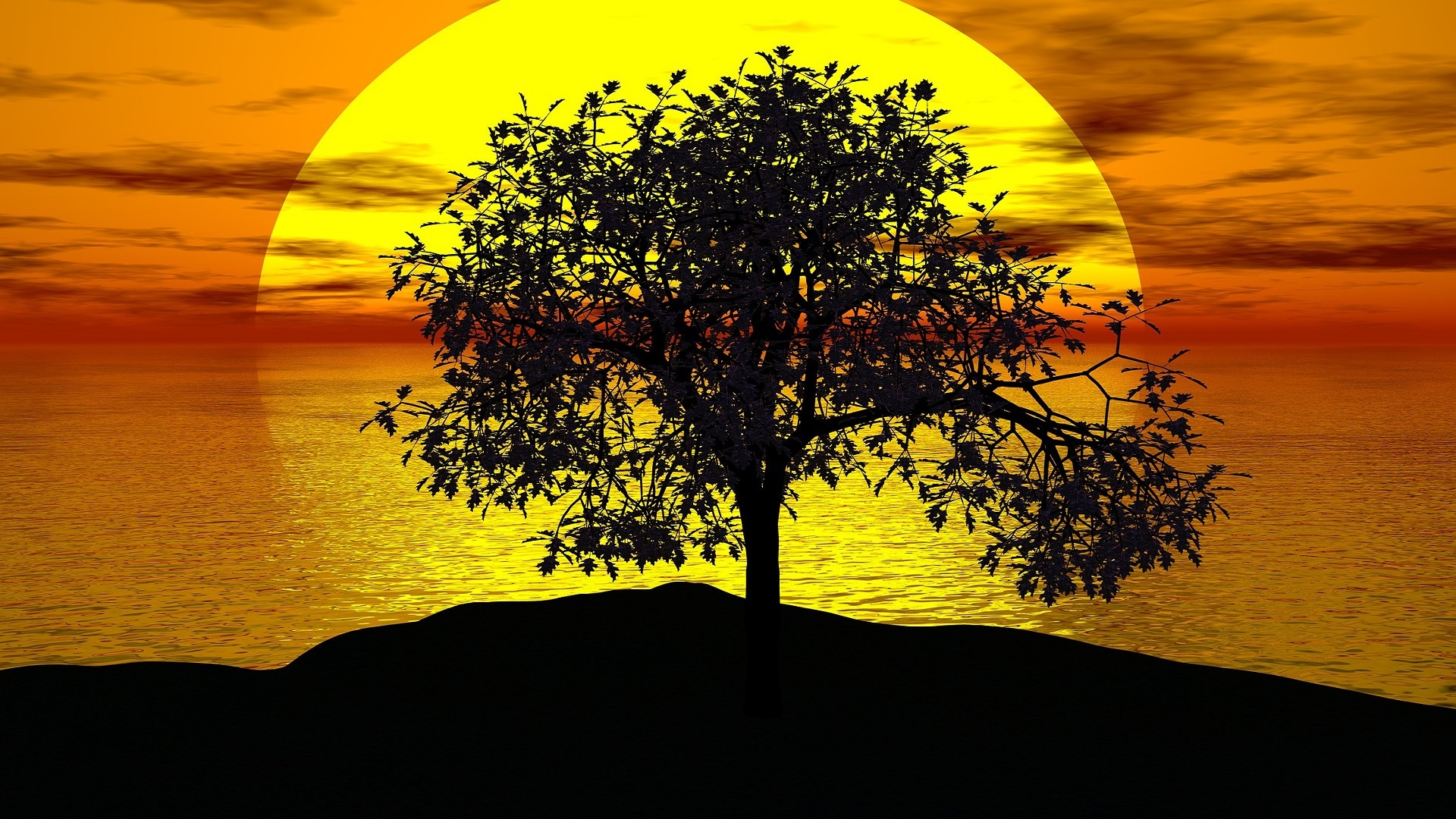 Il Sole