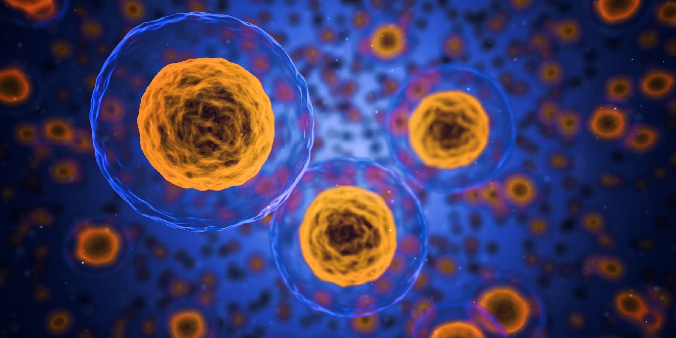 La Cellula | Scienze | Rai Scuola