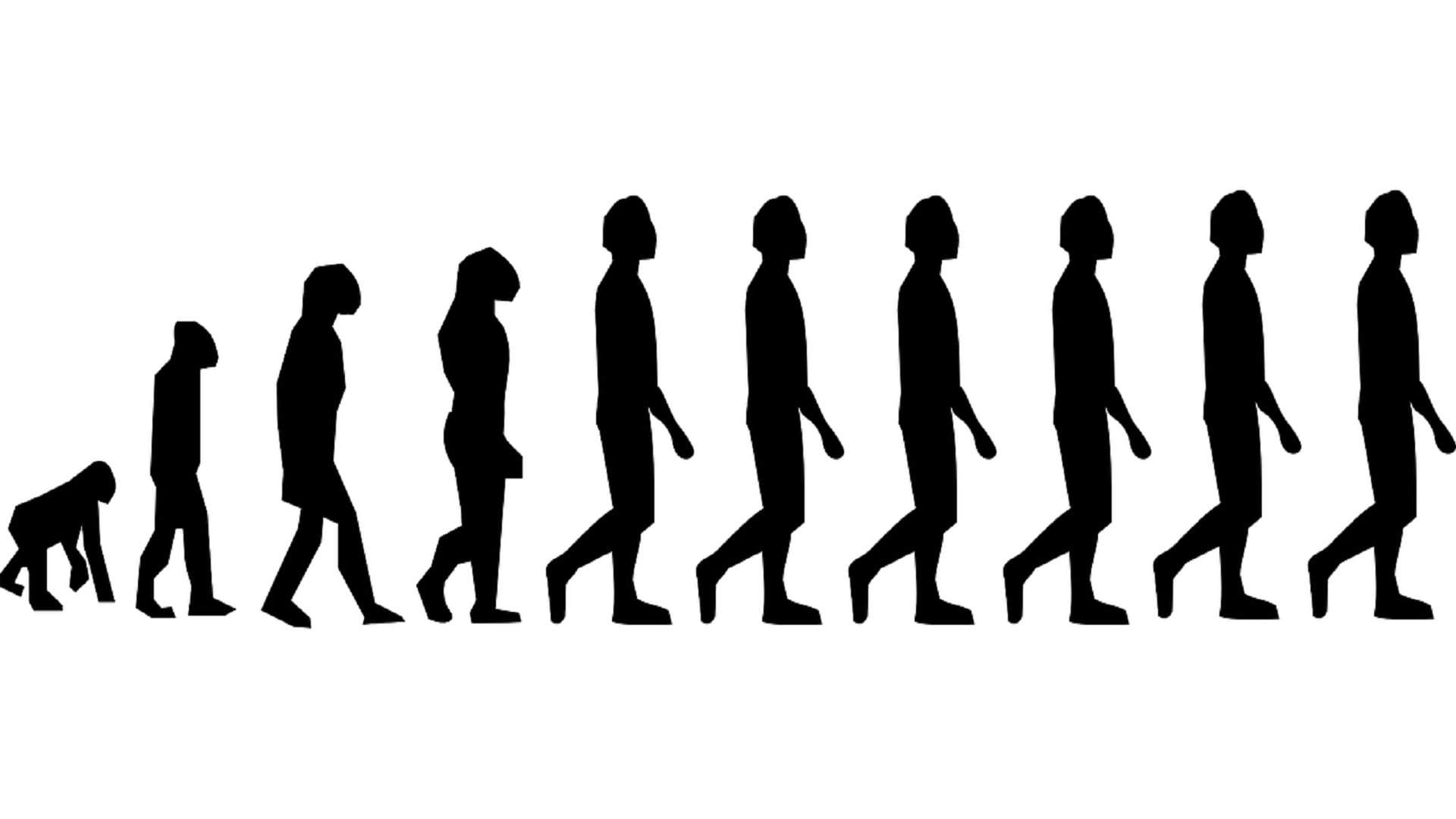 Mensch ist mensch. Эволюция. Эволюция человека. Эволюция Дарвина. Развитие человека.