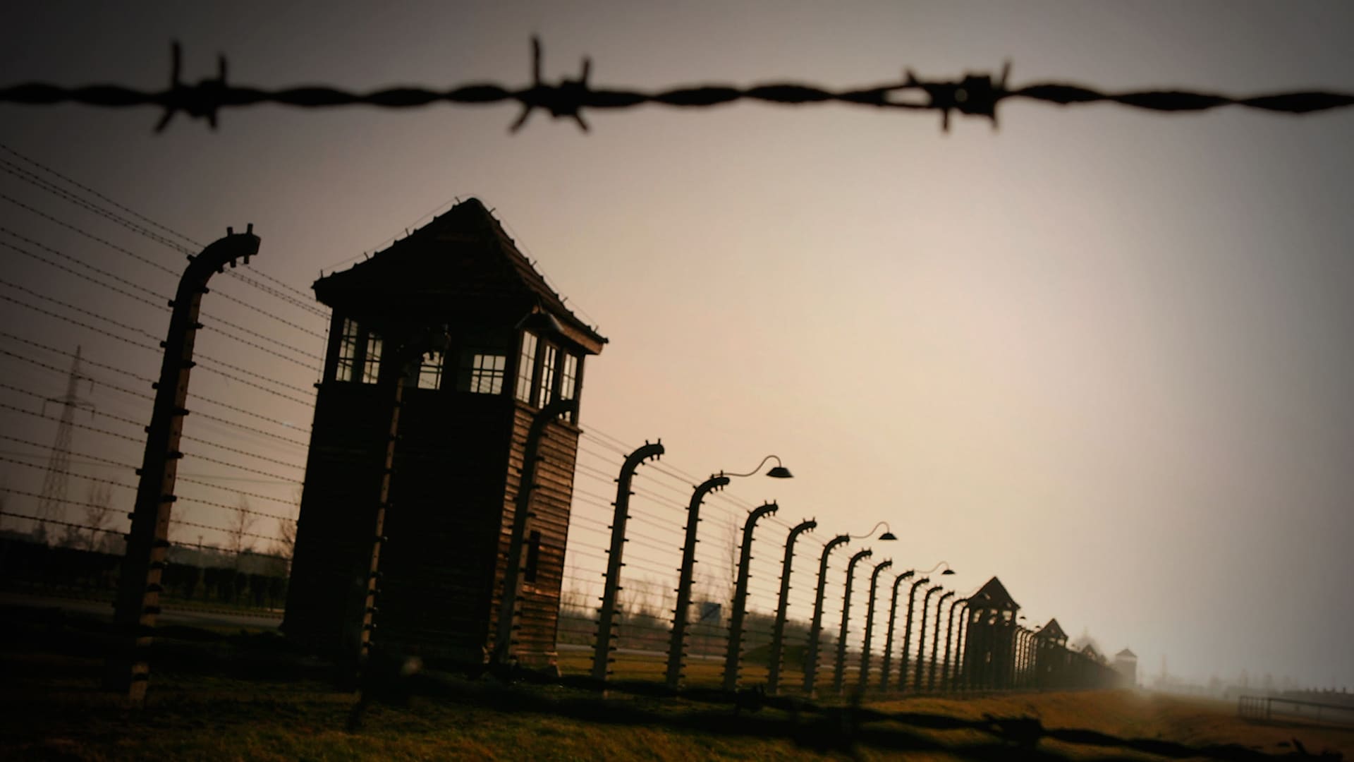 Il web doc sulla Shoah Storia Rai Scuola Il web doc sulla Shoah Storia Rai Scuola