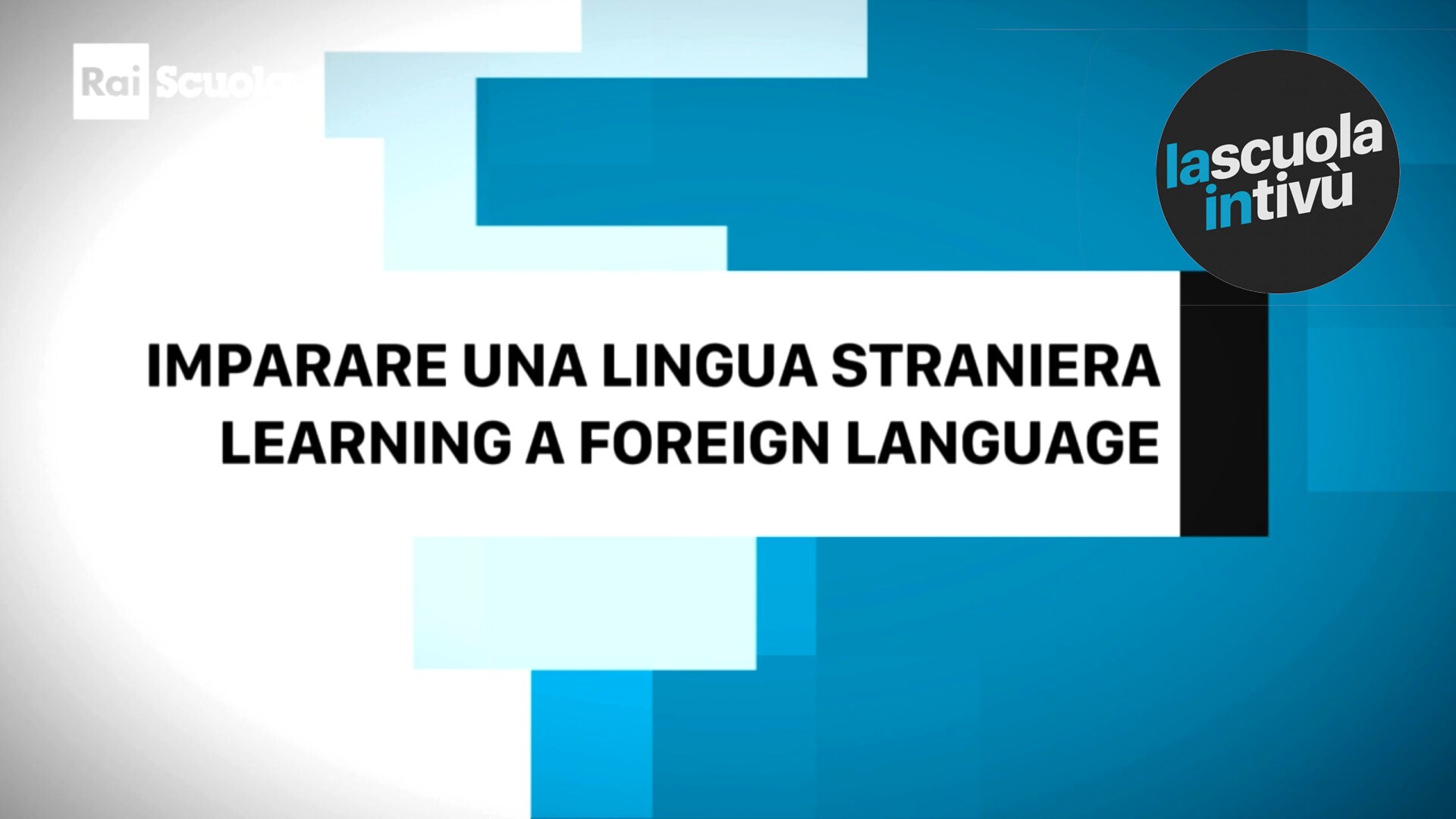 Ways of learning a language | Lingue e culture straniere | Rai Scuola