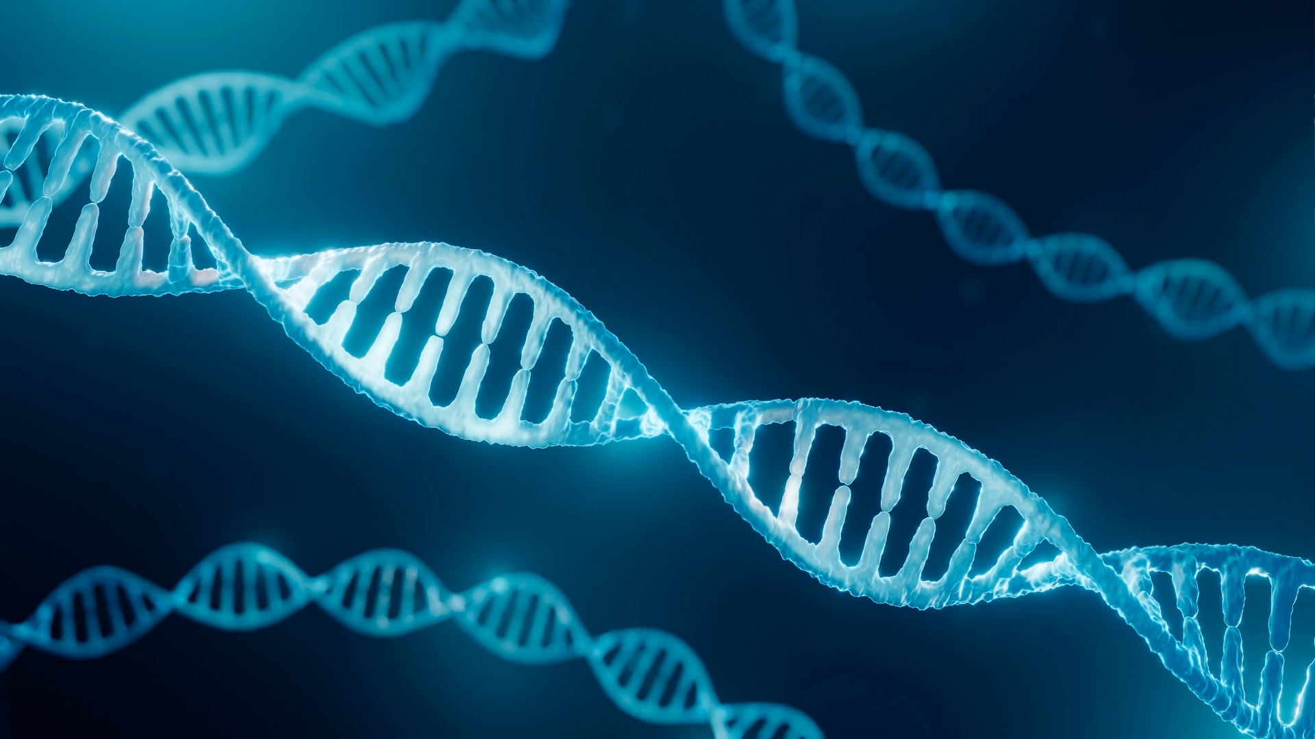 Abaodam componenti del modello a doppia del dna