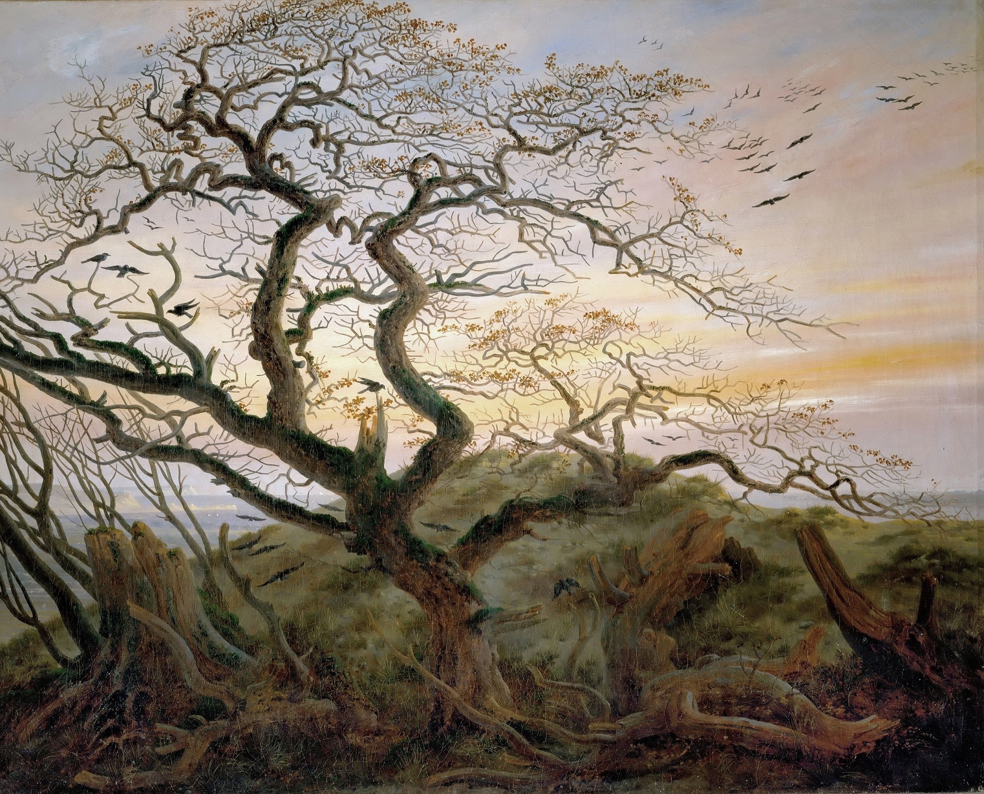 Caspar David Friedrich, L'albero dei corvi, 1822, olio su tela, 59×73cm., Museo del Louvre, Parigi