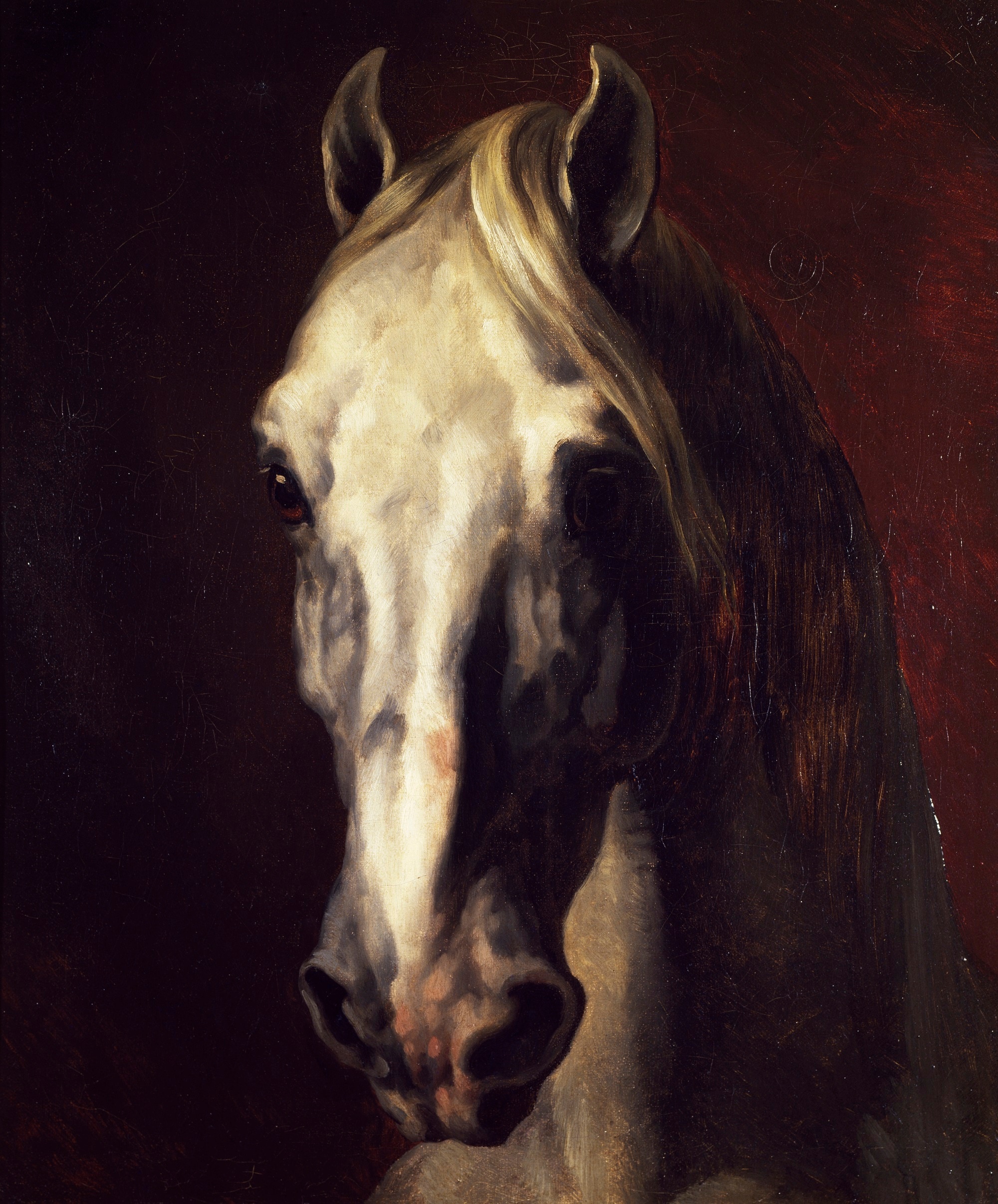 Théodore Géricault, Testa di cavallo bianco, 1810-1812, olio su tela, 54,5x65,5cm., Museo del Louvre, Parigi